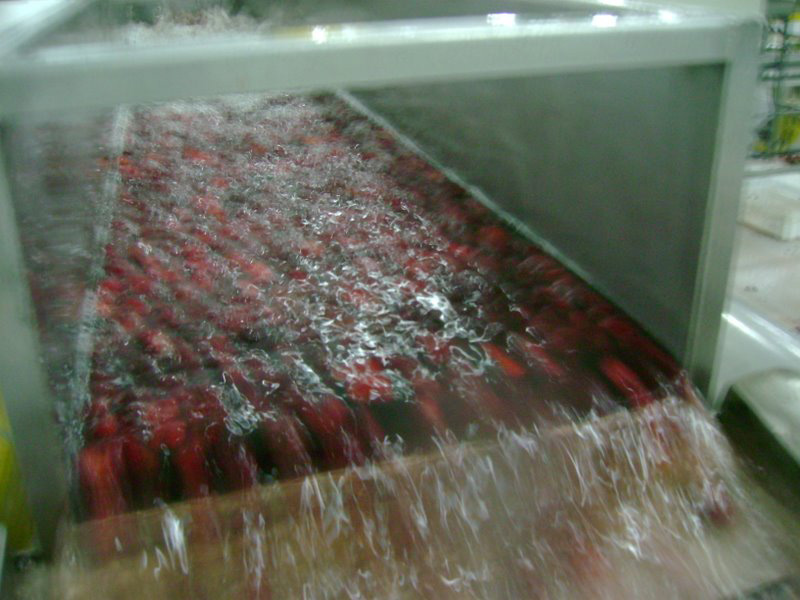 Lavador Vibratorio